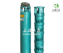 QJ型井用潛水電泵（bèng）(深井泵)